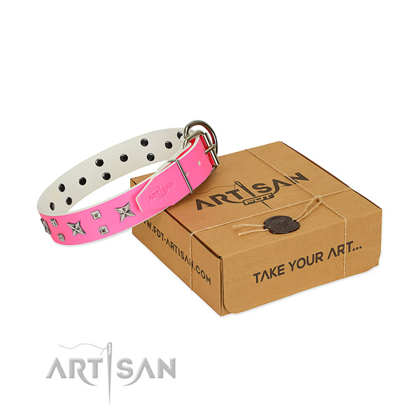 Stunning full grain natural leather collar for your pet daily walking