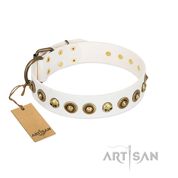 Full grain genuine leather collar with fashionable embellishments for your doggie