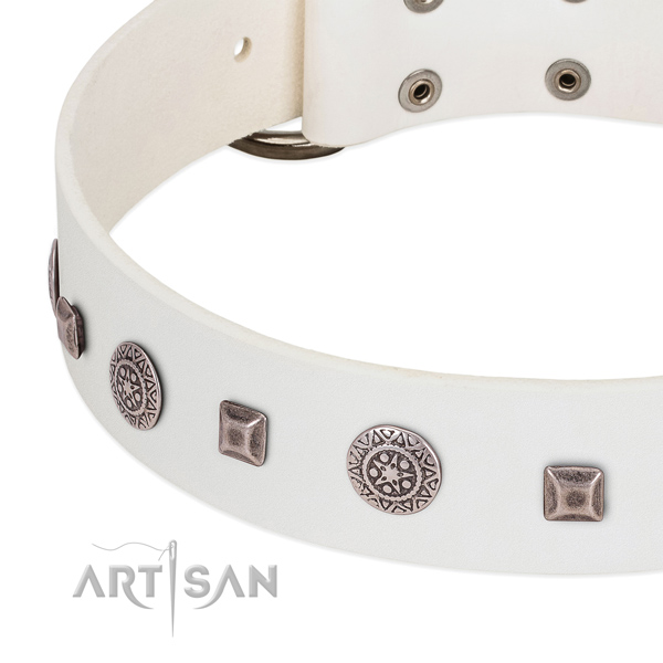 Strong buckle on full grain genuine leather dog collar for everyday use