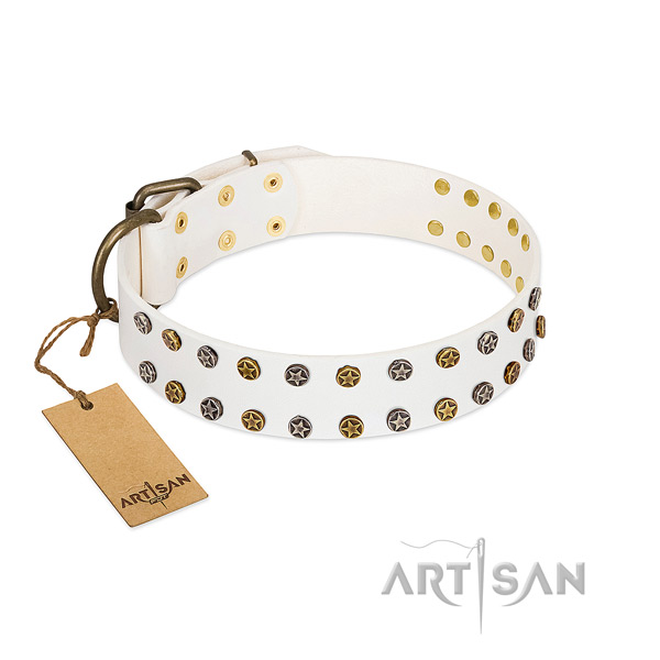 Top notch leather dog collar with reliable studs