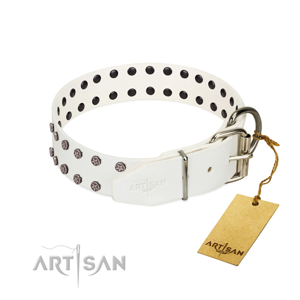 Rust-proof hardware on genuine leather dog collar for everyday use