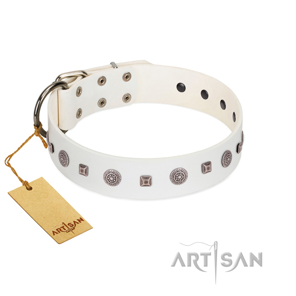 Durable traditional buckle on stylish design genuine leather dog collar
