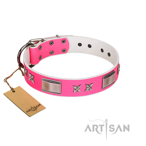 Exquisite collar of leather for your dog