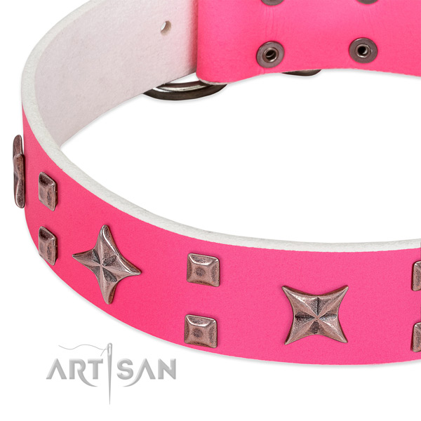 Reliable fittings on genuine leather collar for stylish walking your pet