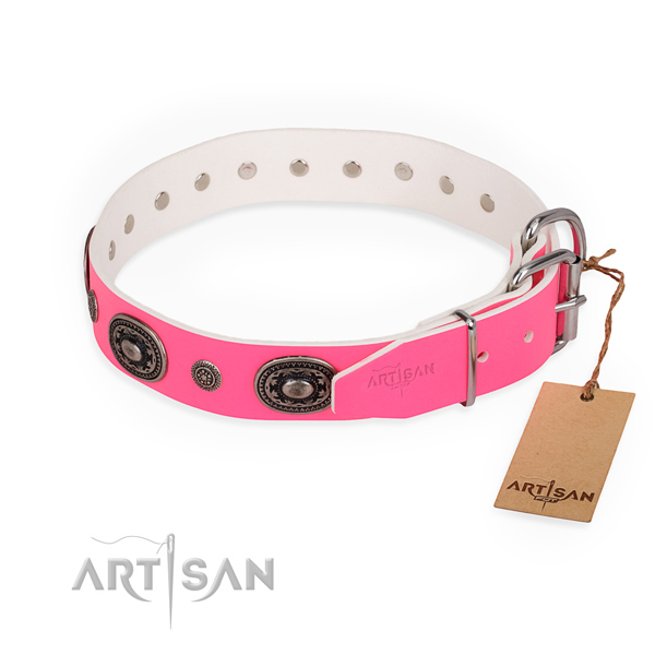 Daily use studded dog collar with corrosion proof hardware