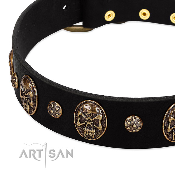 Corrosion resistant D-ring on full grain leather dog collar for your pet