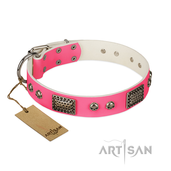 Easy to adjust full grain leather dog collar for walking your canine