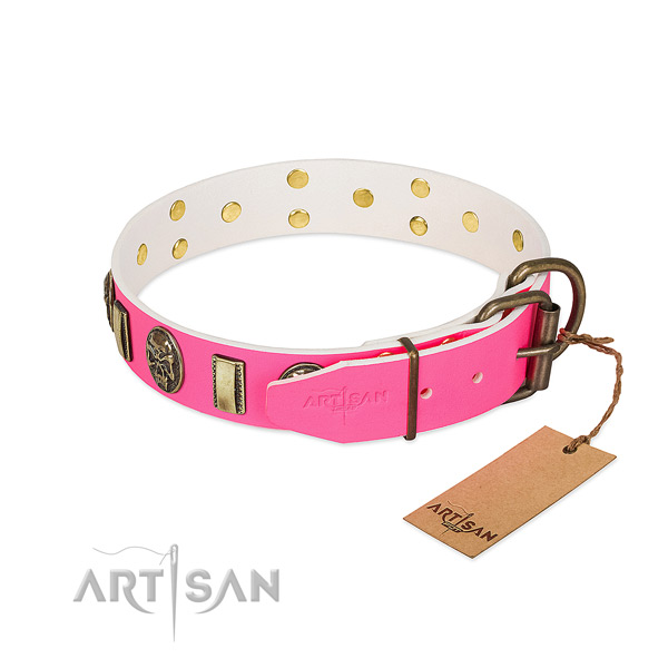 Reliable D-ring on leather dog collar for your doggie