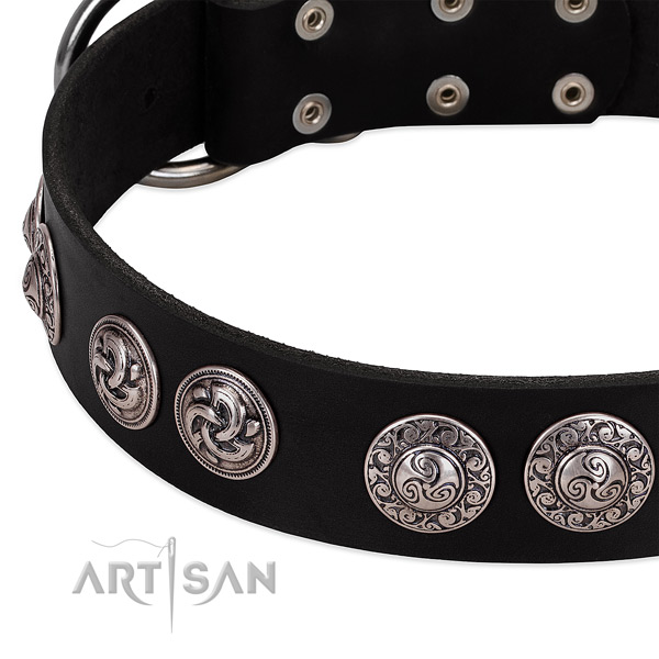 Unusual genuine leather dog collar for daily use