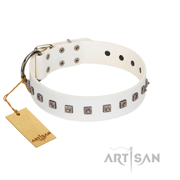 Inimitable studded natural leather dog collar