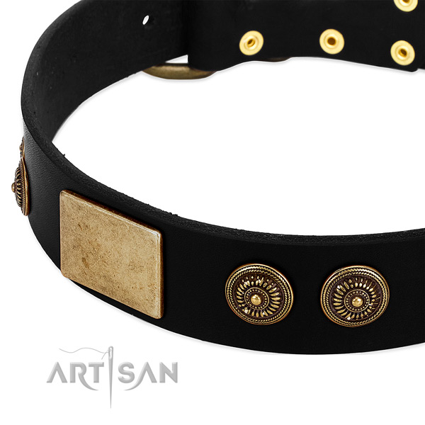 Corrosion proof traditional buckle on full grain natural leather dog collar for your canine