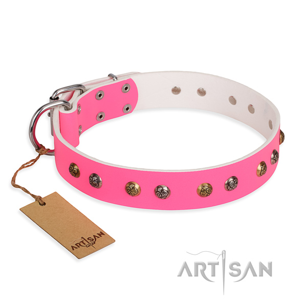 Walking easy adjustable dog collar with strong buckle