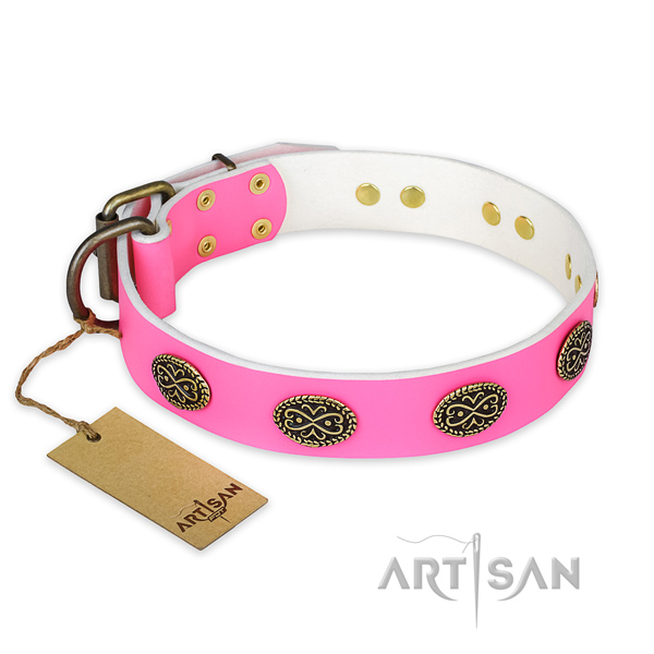 Unique genuine leather dog collar for walking