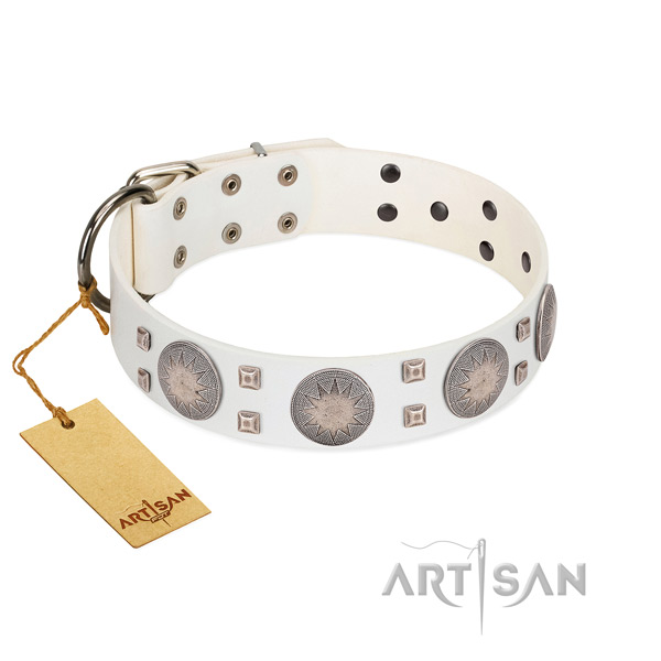 Unique full grain genuine leather dog collar for walking in style your pet