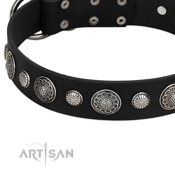 Genuine leather collar with rust-proof hardware for your handsome doggie