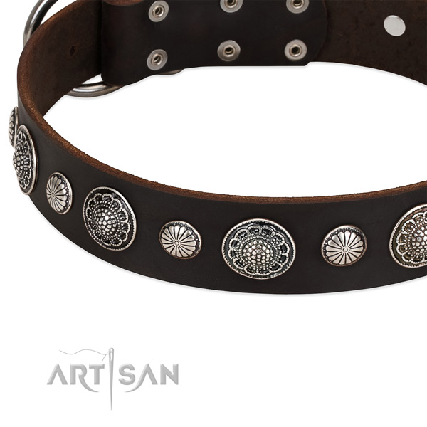 Natural leather collar with strong fittings for your beautiful pet