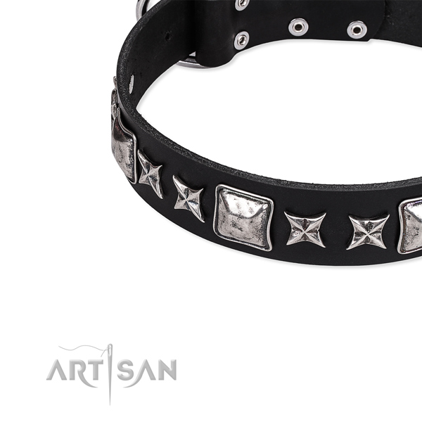 Handy use studded dog collar of finest quality full grain natural leather