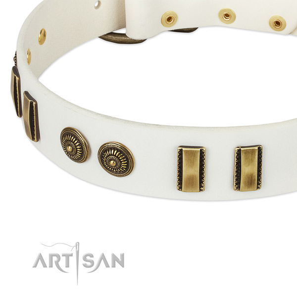 Corrosion resistant adornments on natural leather dog collar for your pet