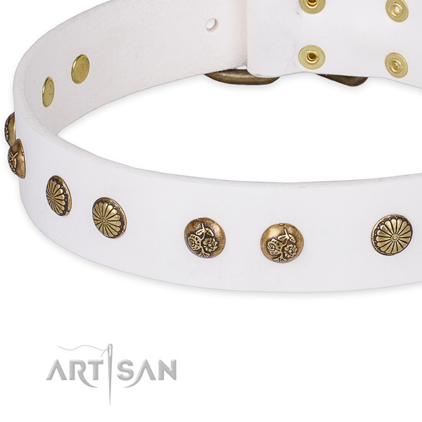Full grain natural leather collar with rust-proof hardware for your attractive doggie