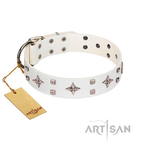 Exquisite full grain leather collar for your canine everyday walking