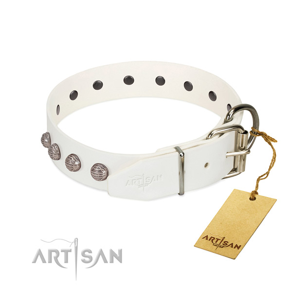 Natural leather dog collar of soft material with exceptional embellishments