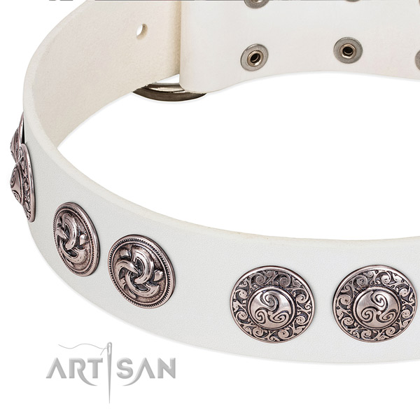 Extraordinary leather dog collar for everyday use
