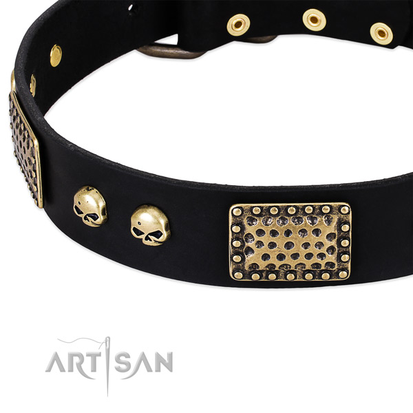 Rust-proof decorations on natural genuine leather dog collar for your dog