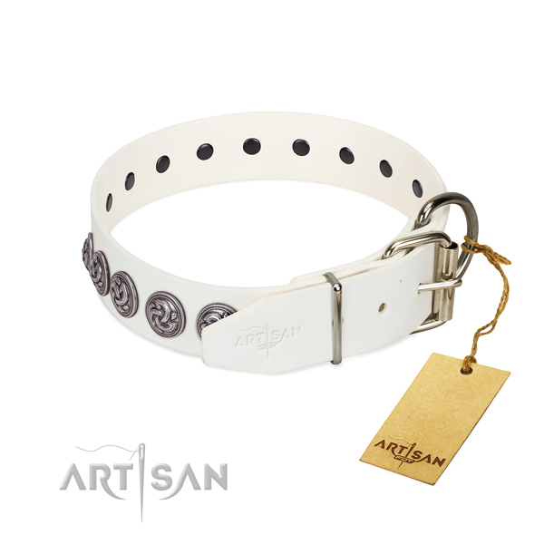 Rust-proof hardware on full grain genuine leather dog collar for walking your doggie