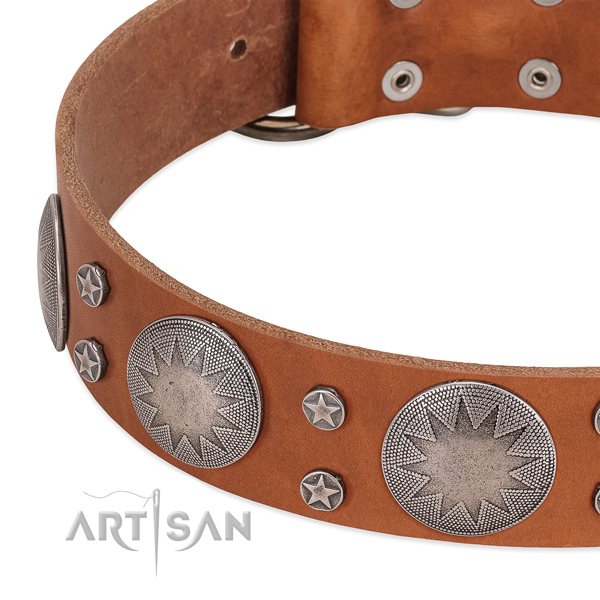 Best quality full grain natural leather dog collar for your handsome dog