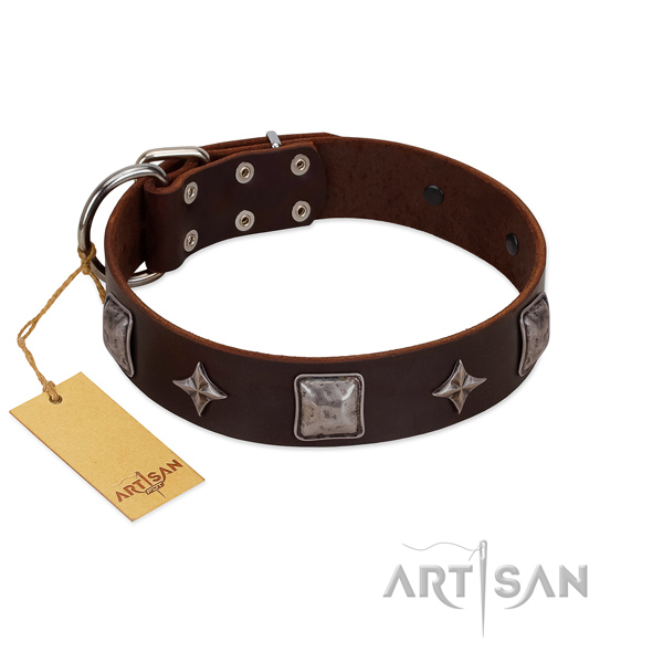 Best quality full grain leather dog collar with studs for fancy walking