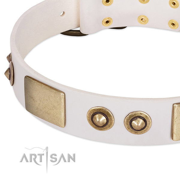 Rust resistant decorations on natural genuine leather dog collar for your doggie