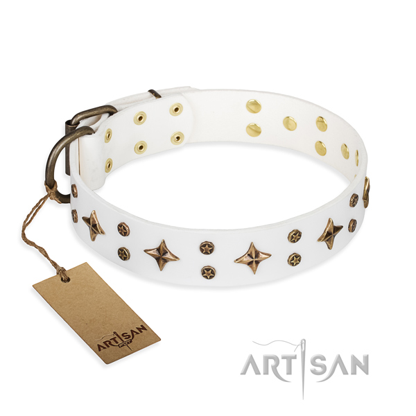 Handy use dog collar of top notch full grain leather with studs