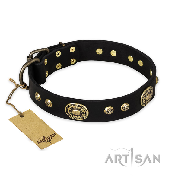 Impressive genuine leather dog collar with rust resistant buckle