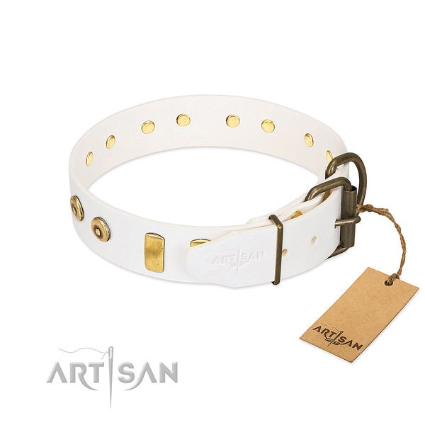 Everyday walking genuine leather collar with adornments for your doggie