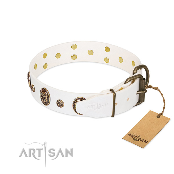 Corrosion resistant studs on leather dog collar for your dog