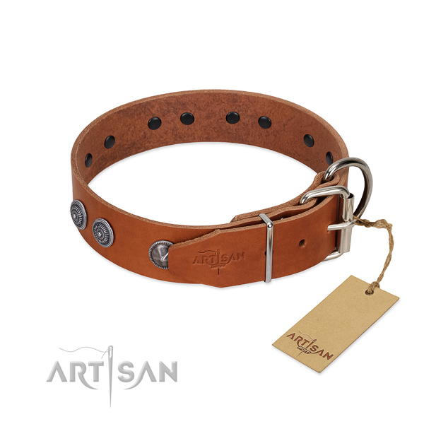 Corrosion resistant fittings on everyday use collar for your doggie