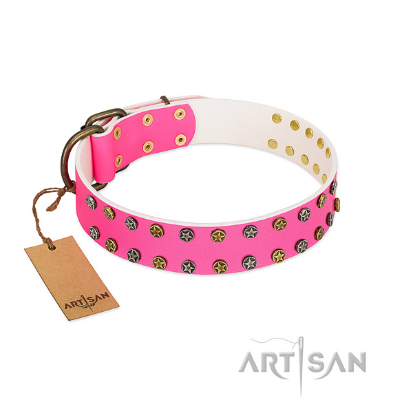 Top rate leather collar with studs for your pet