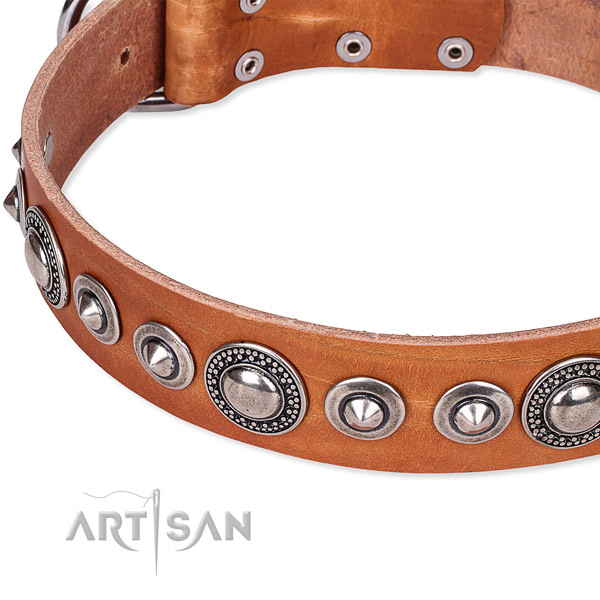 Comfortable wearing adorned dog collar of best quality full grain genuine leather