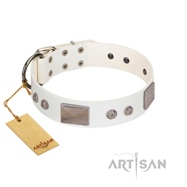 Decorated full grain genuine leather collar for your beautiful canine