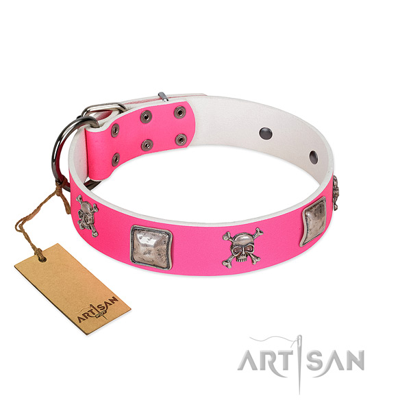 Fine quality full grain natural leather collar for your impressive canine