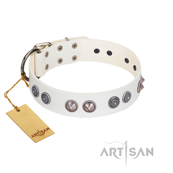 Top notch genuine leather dog collar with rust resistant D-ring