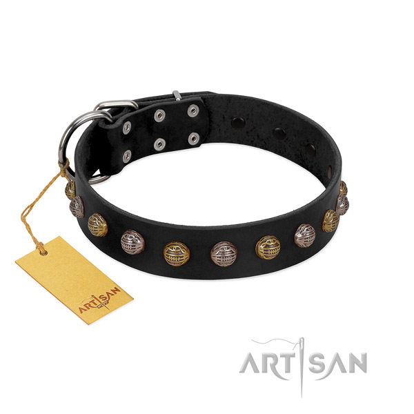 Corrosion proof fittings on full grain leather dog collar for everyday walking your four-legged friend
