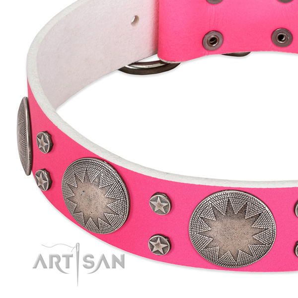 Strong full grain leather dog collar for your beautiful dog