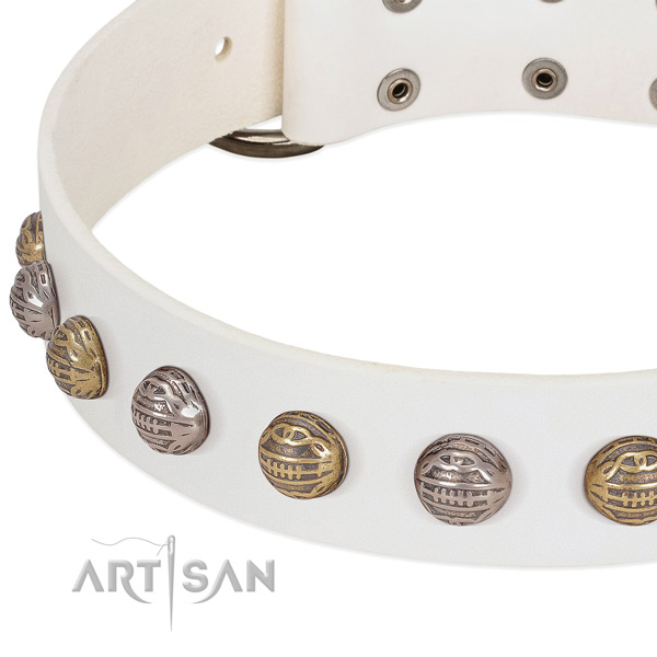 Corrosion resistant fittings on natural genuine leather collar for fancy walking your doggie