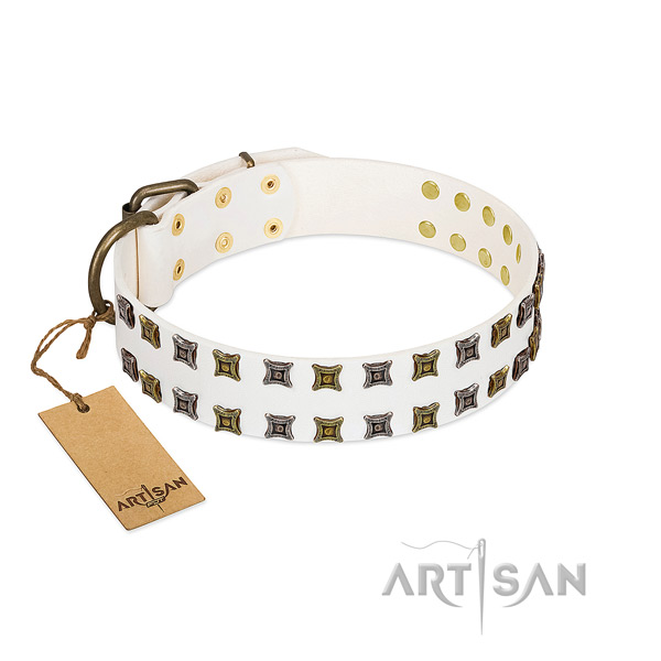 Full grain natural leather collar with top notch embellishments for your canine