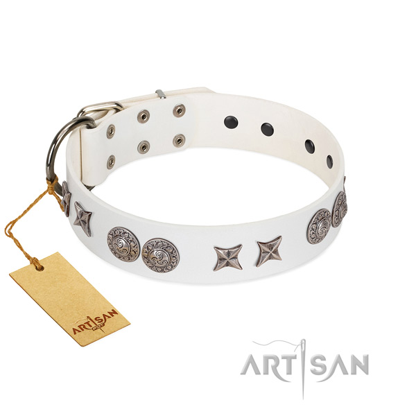 Full grain genuine leather collar with incredible embellishments for your dog