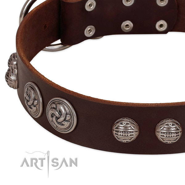 Reliable traditional buckle on full grain leather collar for daily walking your pet