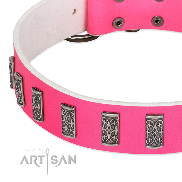 Impressive full grain leather collar for your pet stylish walking
