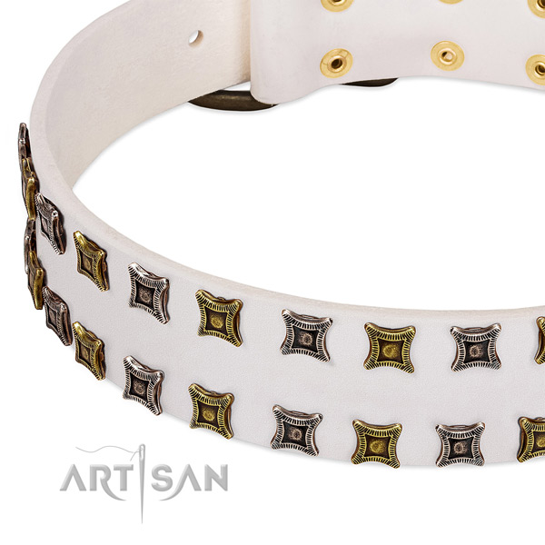 Full grain genuine leather dog collar with decorations for your beautiful canine