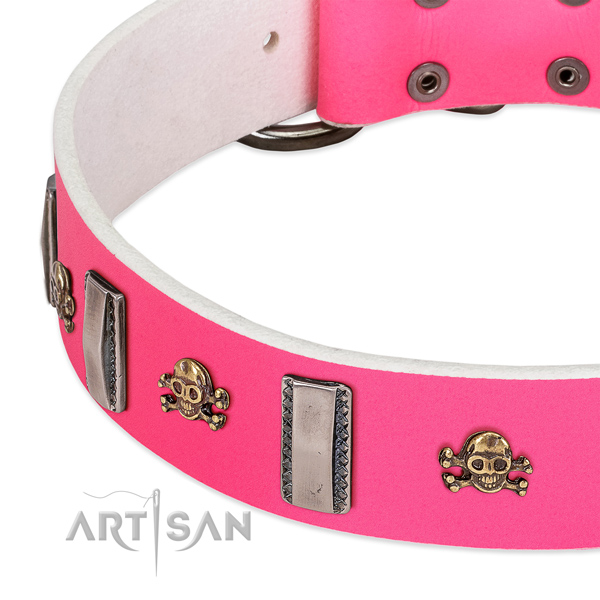 Amazing embellishments on natural leather dog collar for walking